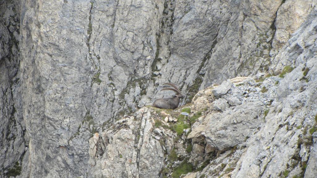 Alpinisme en Vanoise traversée des Rochers de Plassa