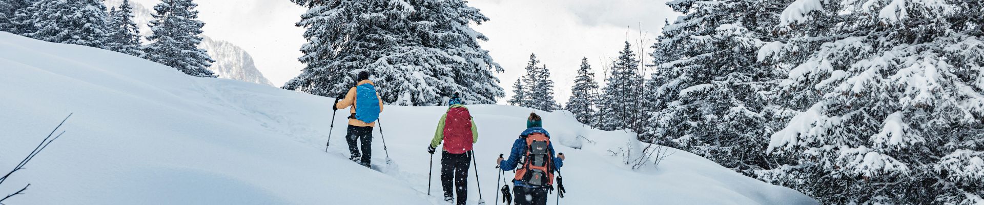 Un groupe de randonneurs lors d'une balade en raquettes aux Arcs