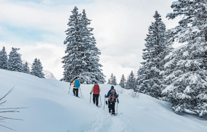Des randonneurs lors d'une balade en raquettes aux Arcs