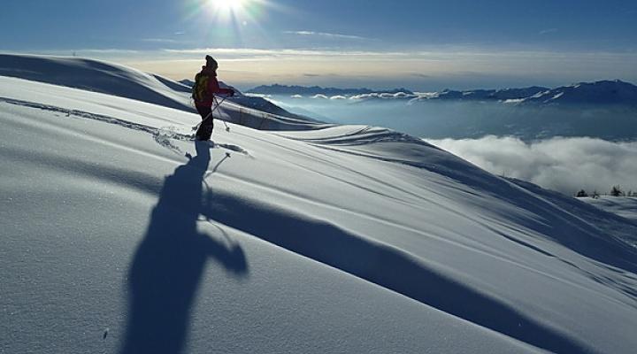 L'aiguille Grive