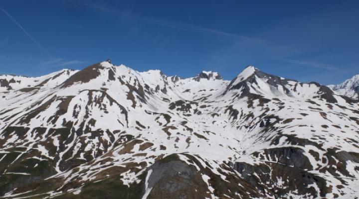 Le Petit St Bernard