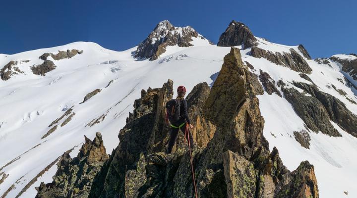 La grande et la petite aiguilles des Glaciers nous regardent...