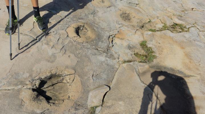 les étonnantes traces circulaires qui couvrent en grands nombres les dalles de grès.