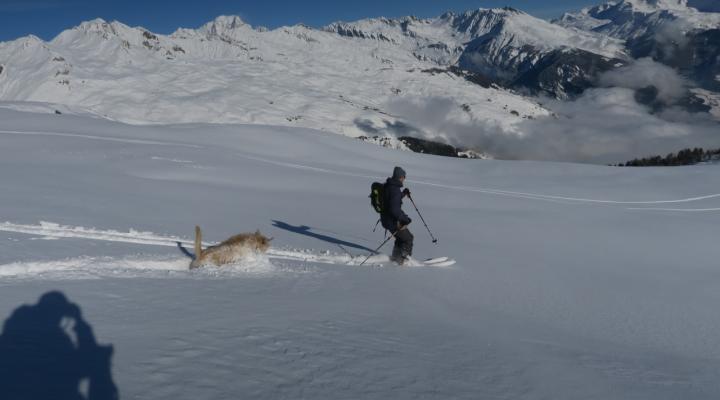 La descente