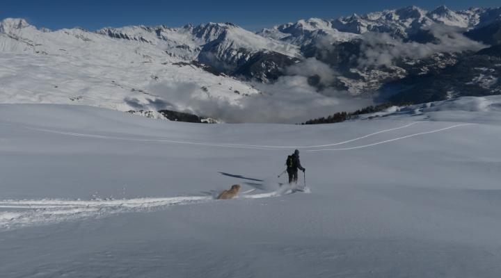 La descente