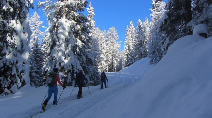 ski de randonnée en Vanoise - Guide de montagne