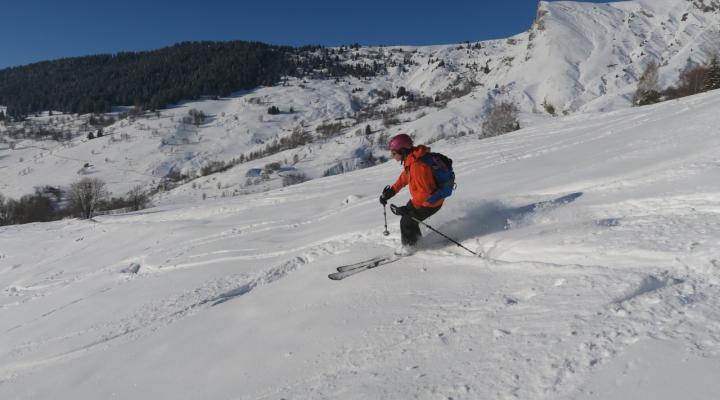 La decente