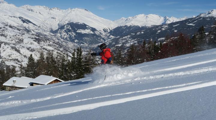 Poudreuse de rêve