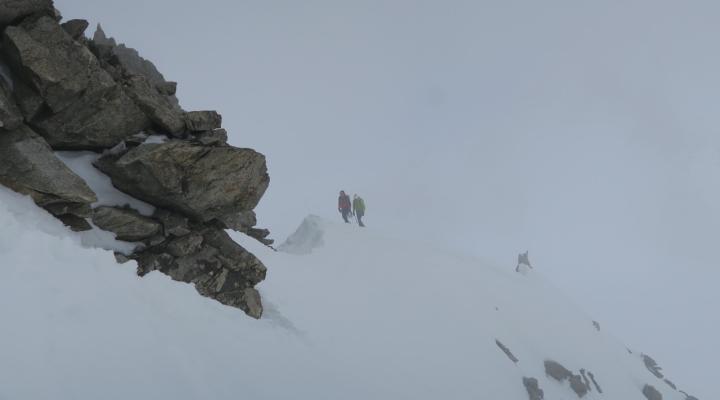Aiguilles Marbrées