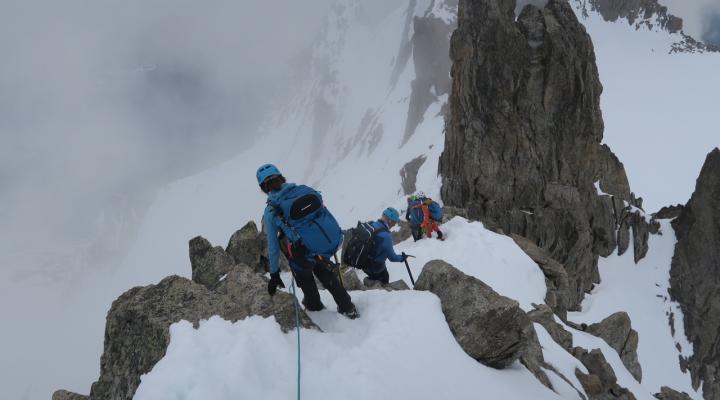 Aiguilles Marbrées