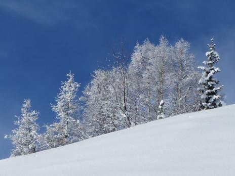 Paysage d'hiver à la Rosière