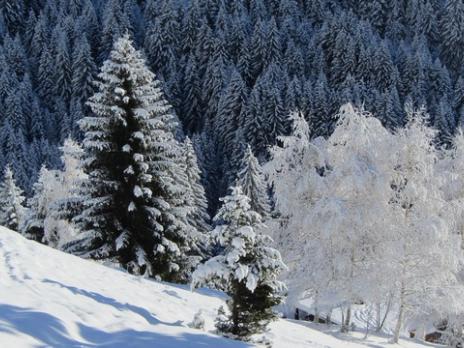 Ski de randonnée dans le Beaufortain