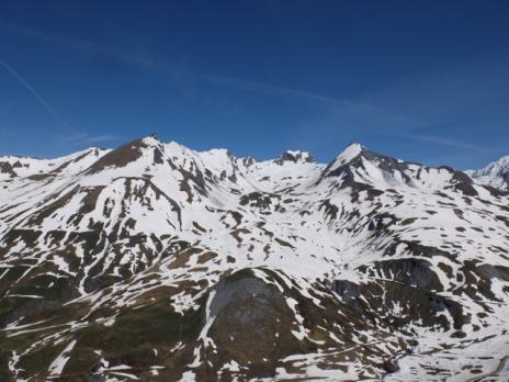 Le Petit St Bernard