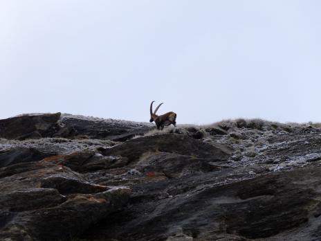 Sur le glacier de Rhemes Golette