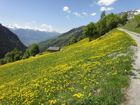 Belles couleurs de printemps
