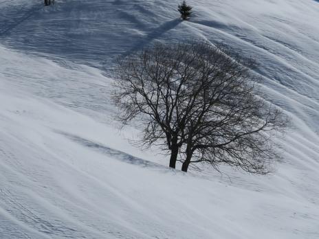 Randonnée à ski à Vaugel