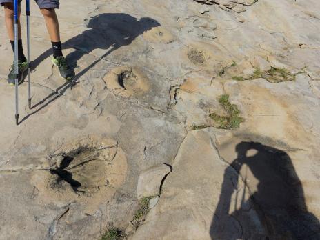 les étonnantes traces circulaires qui couvrent en grands nombres les dalles de grès.