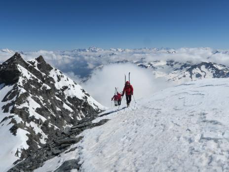 l'arête sommitale