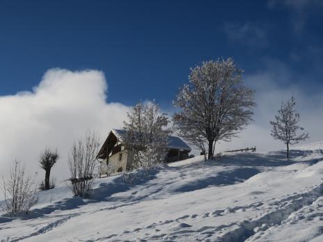 En montant au Dôme de Vaugel