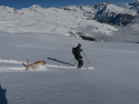 La descente