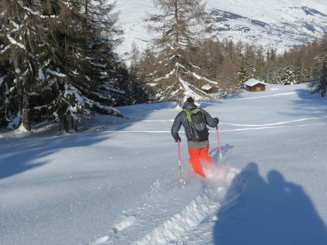 Poudreuse de rêve
