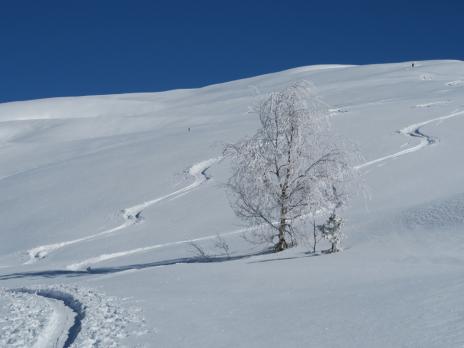 En montant au Dôme de Vaugel