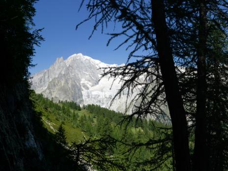 Vue sur le mont Blanc