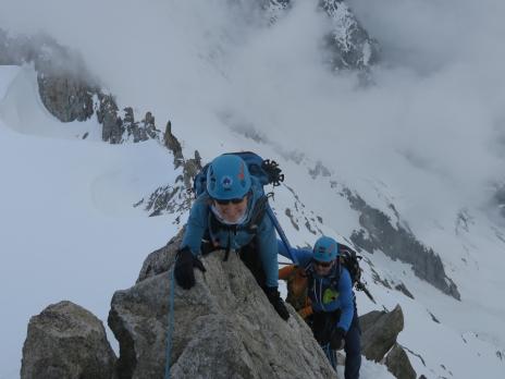 Aiguilles Marbrées