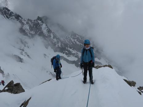 Aiguilles Marbrées