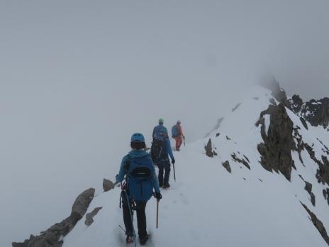 Aiguilles Marbrées