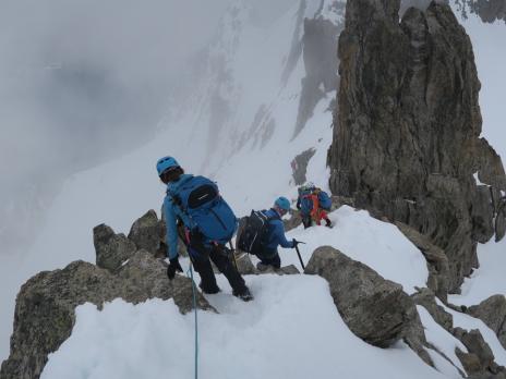 Aiguilles Marbrées
