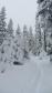 Ski de randonnée en foret - La Rosière Vanoise