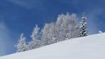 Paysage d'hiver à la Rosière