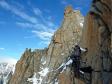 Arête de flèche Rousse