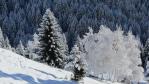 Ski de randonnée dans le Beaufortain