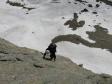 traversée de Bellaval, les premières longueurs