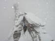 En montant au Grand Paradis