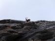 Sur le glacier de Rhemes Golette