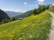 Belles couleurs de printemps