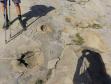 les étonnantes traces circulaires qui couvrent en grands nombres les dalles de grès.