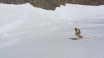 Dôme des Glaciers en ski de randonnée