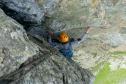 Le coinceur vivant...