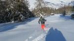 Poudreuse de rêve