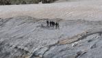 Randonnée glaciaire