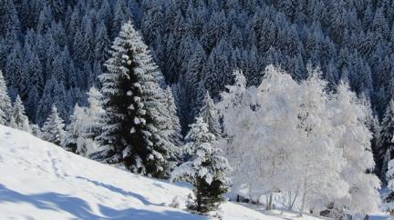 Ski de randonnée dans le Beaufortain