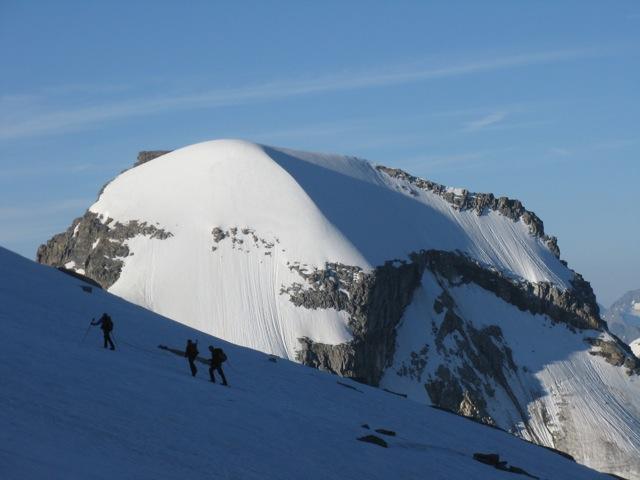 Grand paradis