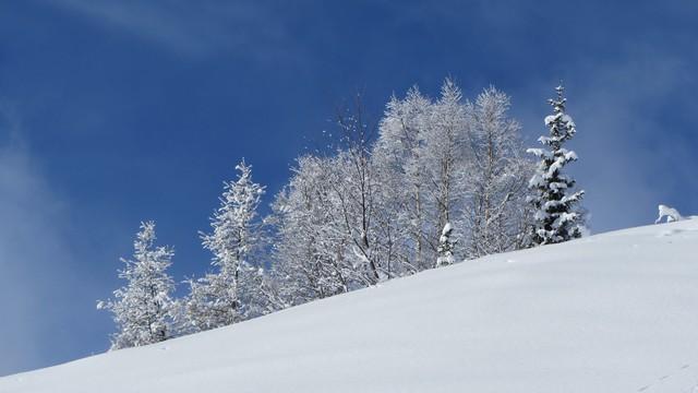 Paysage d'hiver à la Rosière