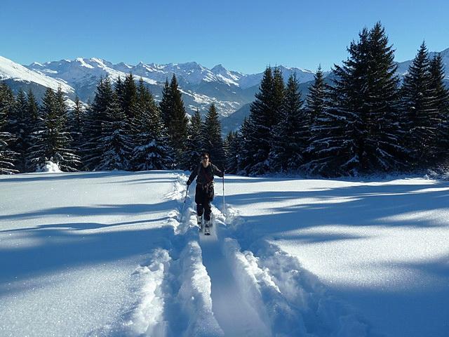 Montée dans la forêt sous le dôme de Vaugel.