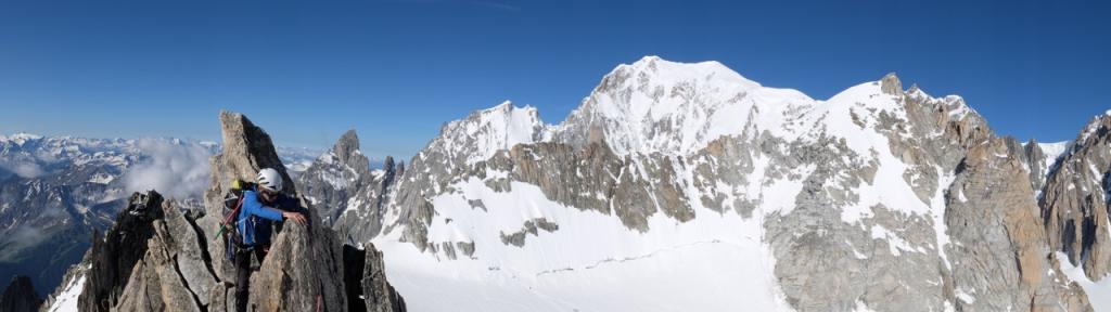 vue sur le Mont Blanc