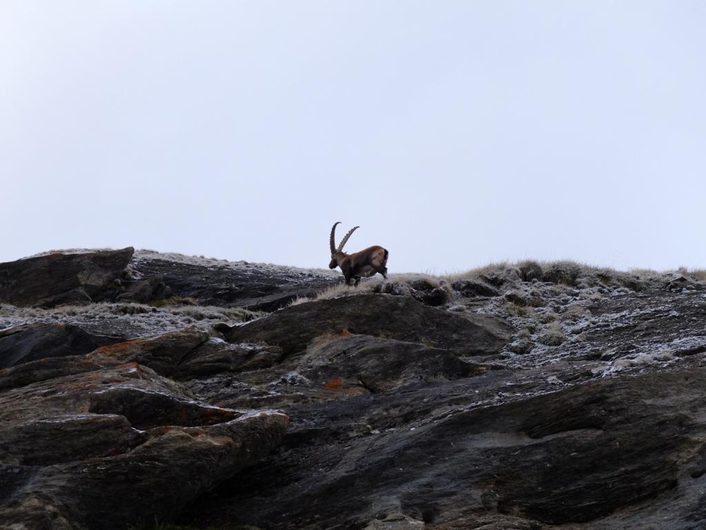 Sur le glacier de Rhemes Golette